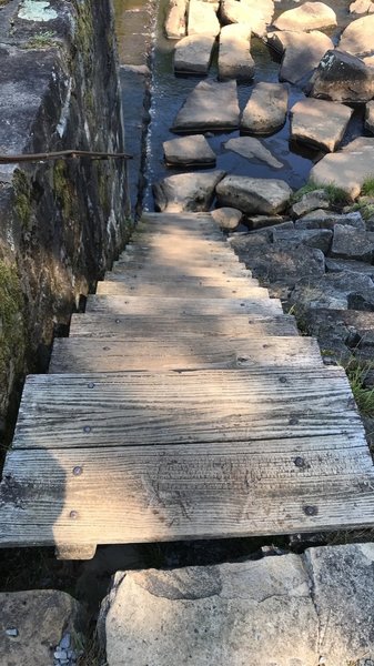 Stairs to the steppingstones in the run.