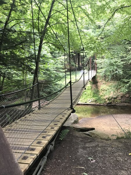 Toms Run Swing Bridge