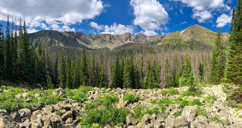 View of the mountains across the forest from the trail.