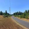 Walking West on the Overland Trail Connector.