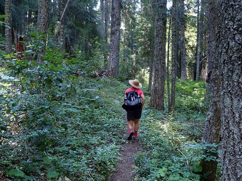 Along the Sucker Creek Trail