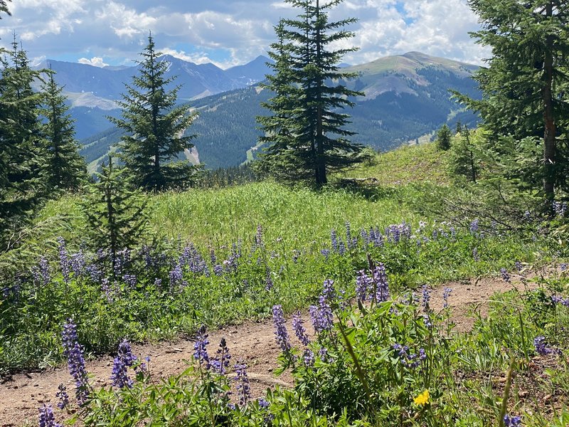 Views toward the 10 mile range from the Gore Range Trail