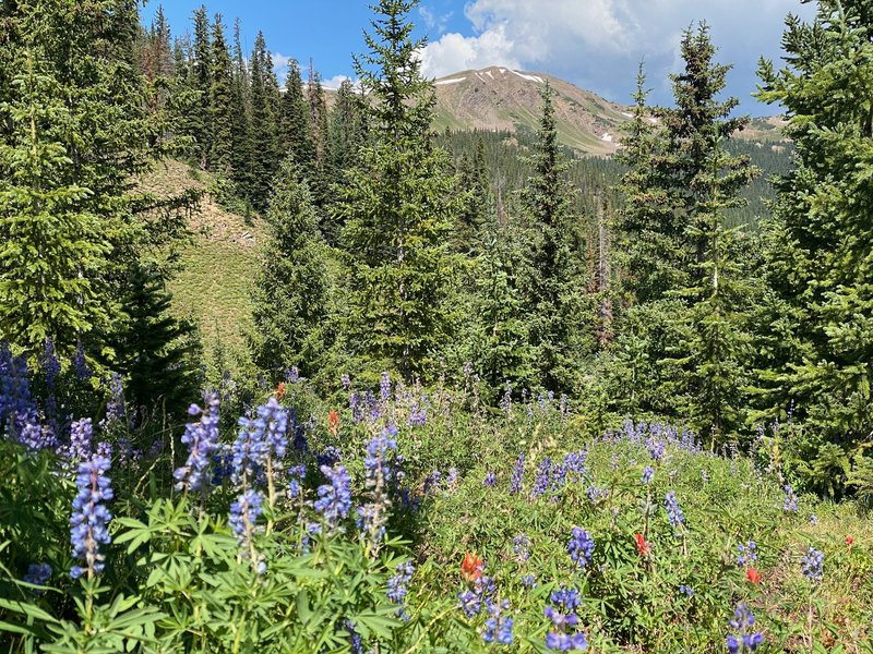 A peak at the Gore Range