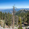 View north from Paradise Peak