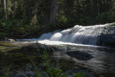 Trailside falls