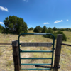 Continue through gate to stay on Lentzen Gazebo Trail