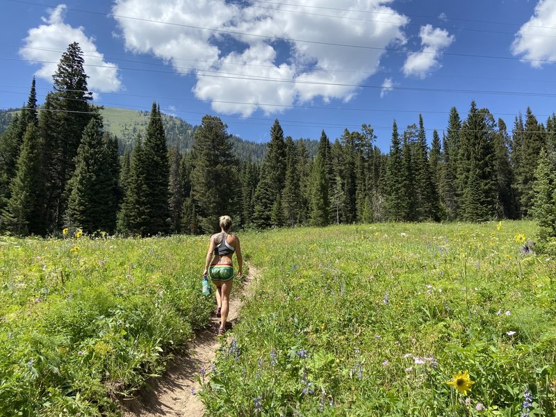 Trail leading to Crater Lake