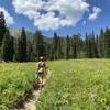 Trail leading to Crater Lake