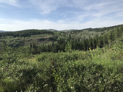 One of the nice views from the Blind Creek trail