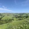 Looking west from Sobrante Ridge at Alhambra Valley.