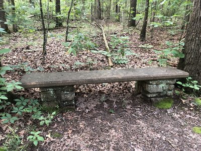Bench