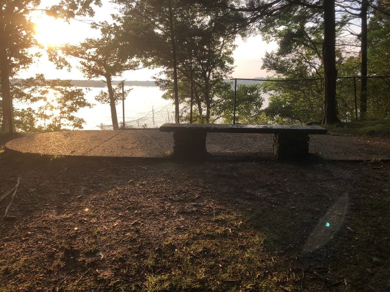 Bench on Handicap Trail