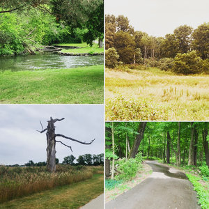Scenes along the Albion River Bike Trail