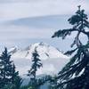 MT. Baker viewed from Shannon Ridge.