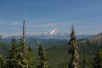 Mount Jefferson from a nice viewpoint just east of the Pansy Creek Trail