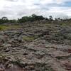 Columnar rhyolite.