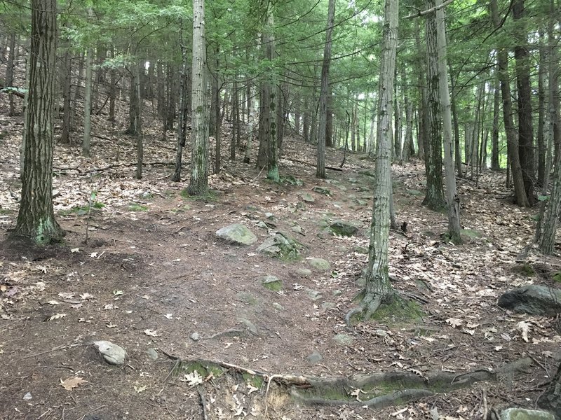 Beginning of trail