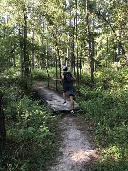 I wasn't expecting it, but the North Wilderness Loop is full of amazing sections of singletrack. Some areas are overgrown and require slowing down or charging through, but overall it's a great experience.