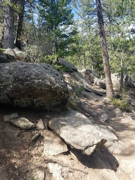 May need to use hands here and there to get over rock obstacles.