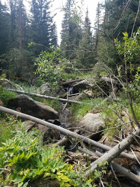 Trail follows the flowing stream