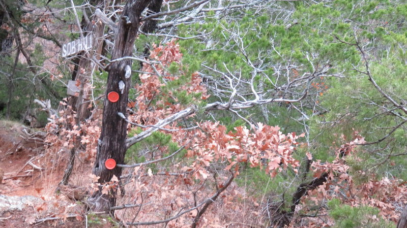 Many old tree markers are still intact along the way , usually to mark a turn in the trail .