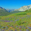 Looking down French Canyon from about 1/2 mile below Pine Creek Pass.