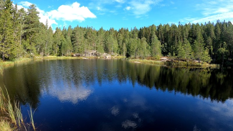 Lake Gamledammen