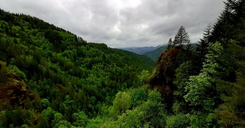 View over the Lester Creek Valley, including some rocky outcroppings, on the Wilson River Trail.