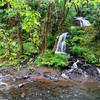 Lester Creek Falls from across the Wilson River.