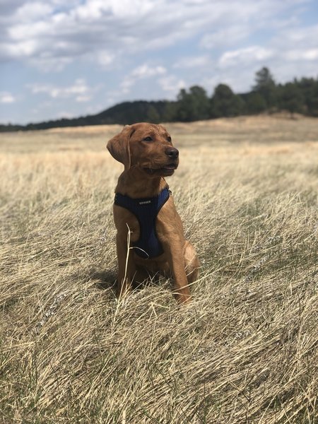 Taking a break in the middle of the prairie.