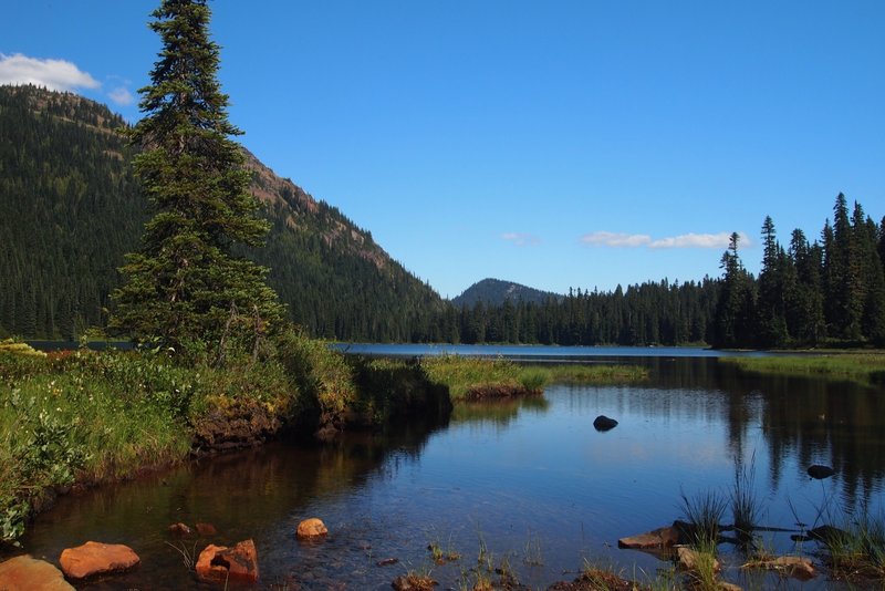 Dewey Lake from west shore. Hwy 410 to Dewey Lake makes a great day hike alternative to the Naches Loop if you have a dog since dogs are permitted only on the PCT portion.