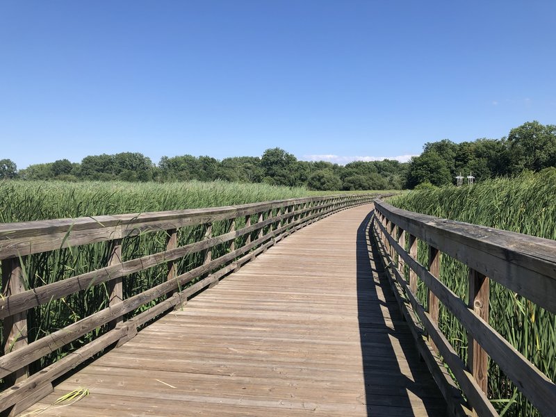 Wetland boardwalk.