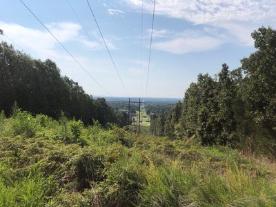 South view from west easement.