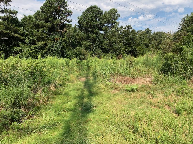 Trail Intersection.