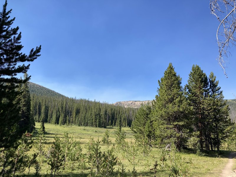 Fantasy Meadow looking at the roof of the Rockies.