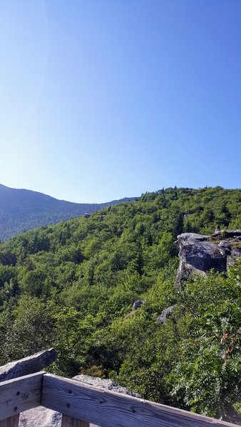 Looking up from a boardwalk section of a rock overlook.