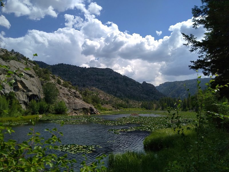 A marshy wetlands area near the mouth of Boulder Creek Canyon.