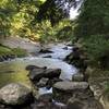 Slippery Rock Creek from Kildoo Trail.