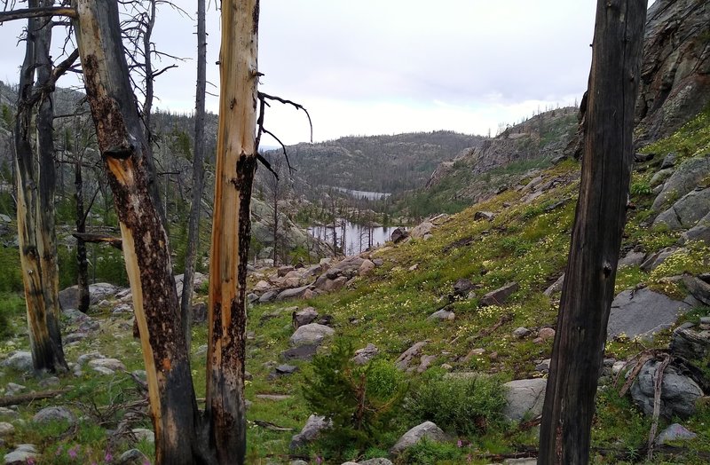 Lake Christina is in the distance, with Perry Lake closer by when hiking high on Lake Ethel Trail.