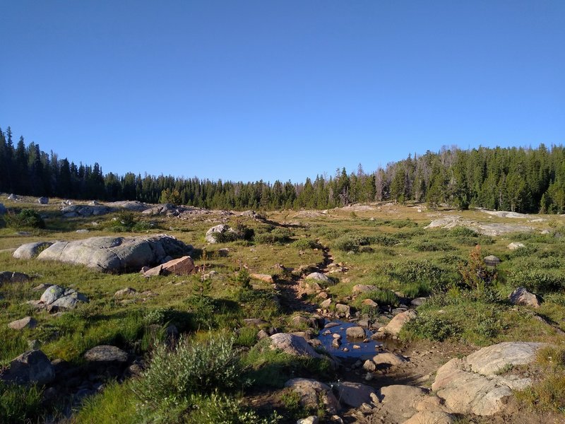 Rocky meadows at 9,800 feet, near North Fork Lake.