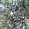 Beautiful stream flowing  into the Eno River.