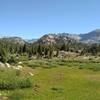 A pretty high meadow, elevation about 10,000 feet., along Highline Trail, with a backdrop of Wind Rivers peaks.