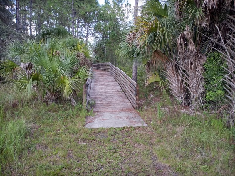 Long bridge near start of Red Trail