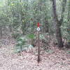 Guidepost #0 at Alafia Scrub Nature Preserve.