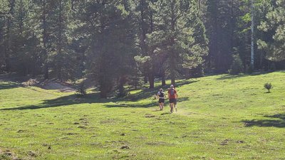 Meadow running in Calaveras Canyon.