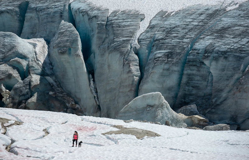 A hiker and her dog stand in front of the Illecillewaet Glacier.