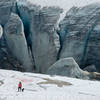 A hiker and her dog stand in front of the Illecillewaet Glacier.