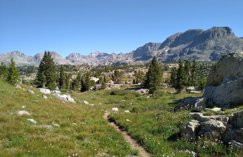 Bald Mountain Basin and the mountains to the north are seen from the CDT/Fremont Trail. Mountains left to right - Mt. Lester's two peaks, distant mountains with Titcomb Basin on other side, and ridge of unamed peaks on the northeast side of this Basin..