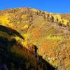 Fall colors along North Mitchell Trail. October 2018.