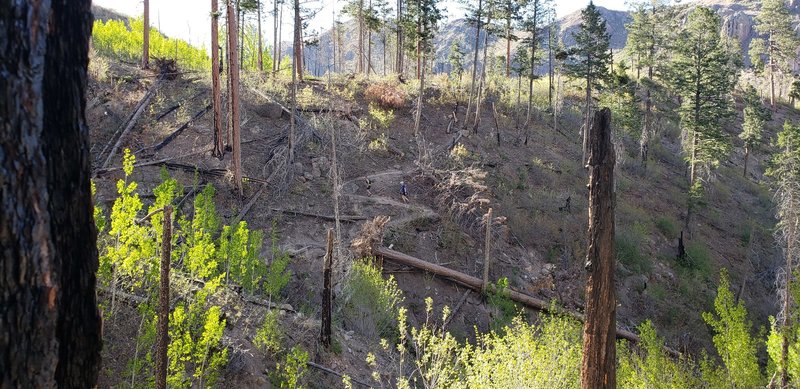 Runners on the switchback exiting one of the major drainages the trail crosses. May 2020.